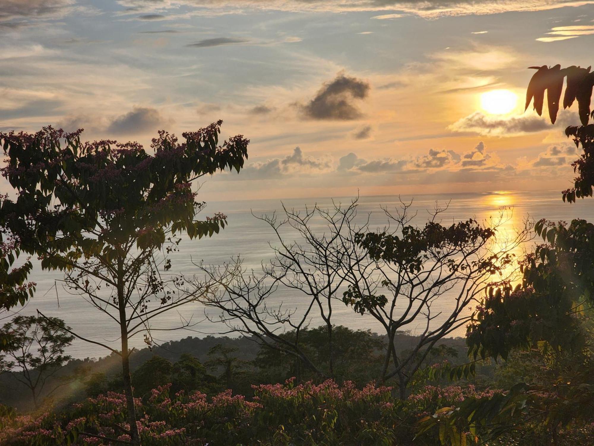 Canavida Villas & Resort Uvita Exterior photo